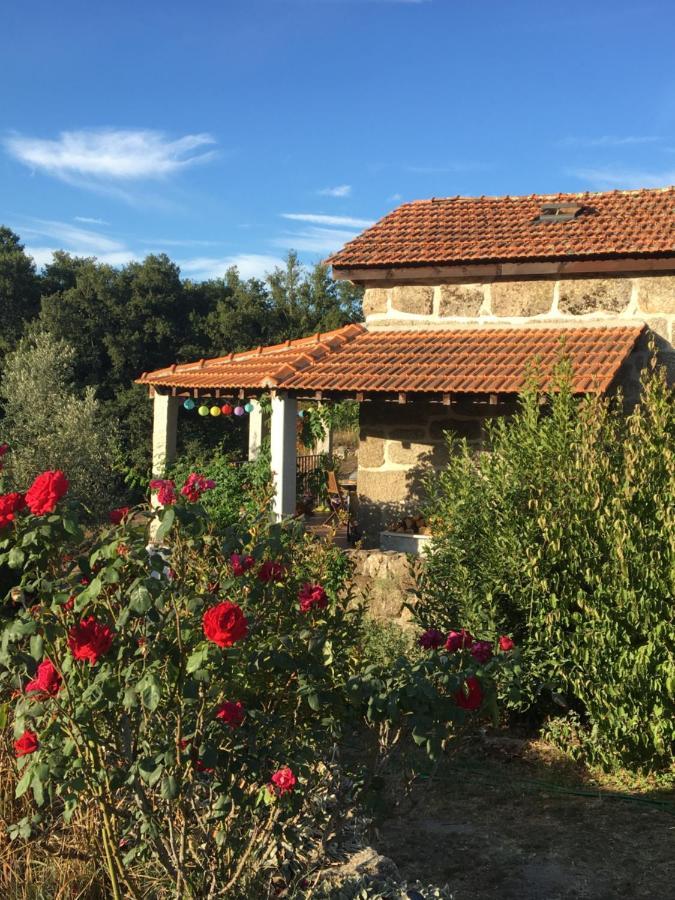 Ferienhaus Quinta Do Cobral
