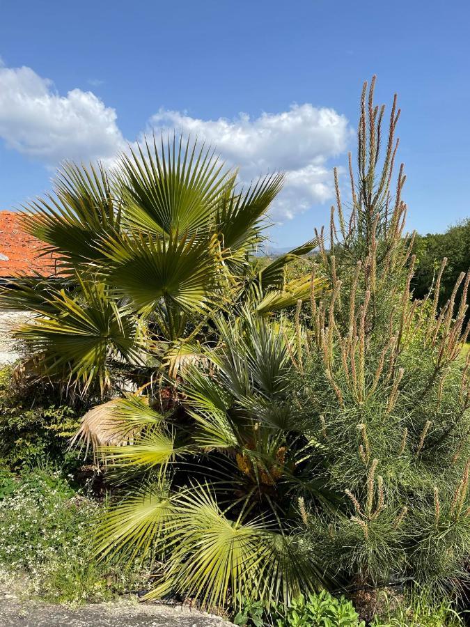 Quinta Do Cobral Ferienhaus