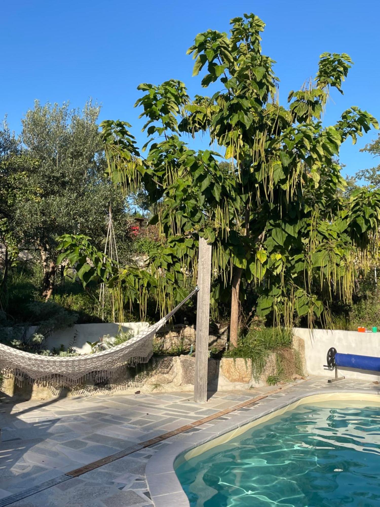 Ferienhaus Quinta Do Cobral *