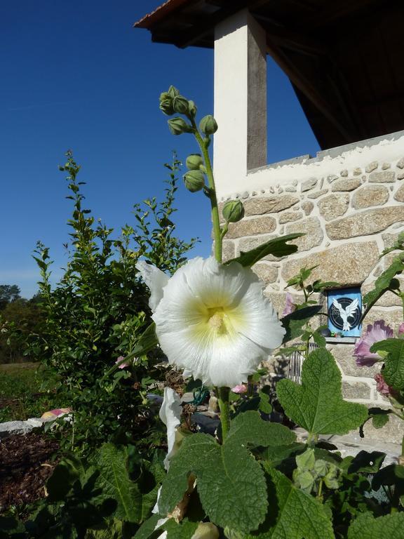 Quinta Do Cobral Holiday home