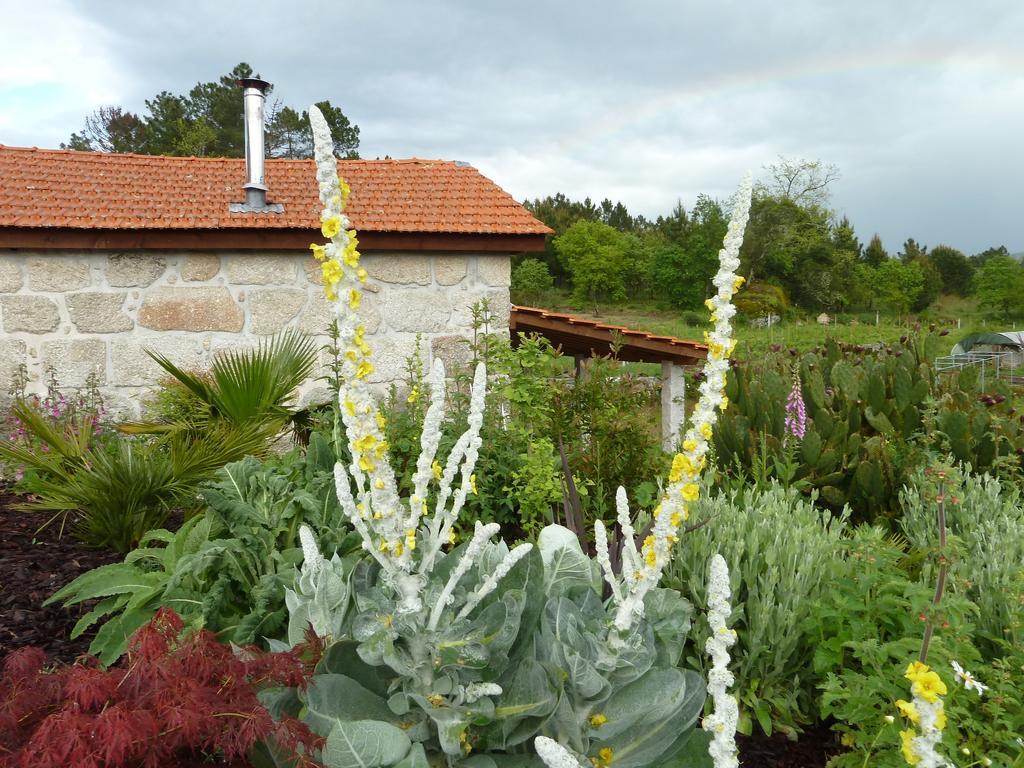 Ferienhaus Quinta Do Cobral Oliveira do Hospital