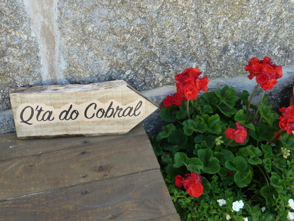Ferienhaus Quinta Do Cobral Oliveira do Hospital