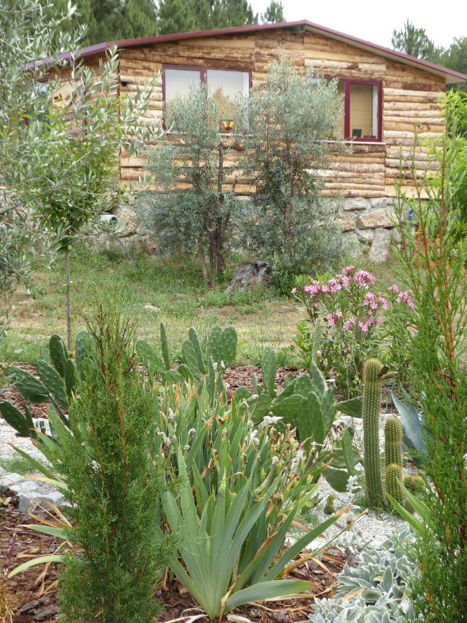 Quinta Do Cobral Ferienhaus *